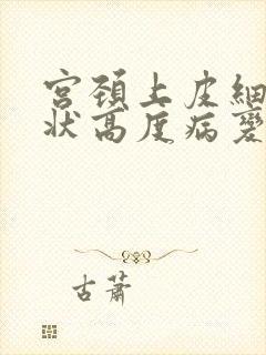 宫颈上皮细胞鳞状高度病变