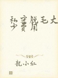 私密脱毛大概多少费用