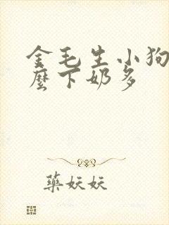 金毛生小狗吃什么下奶多