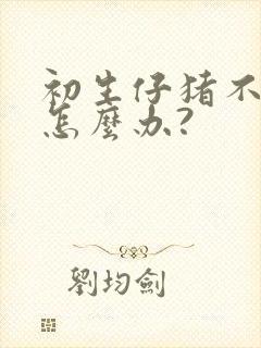 初生仔猪不吃奶怎么办?