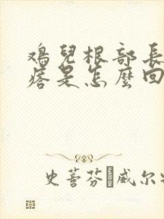鸡儿根部长小疙瘩是怎么回事