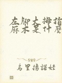 左脚大拇指脚趾麻木是什么原因封面