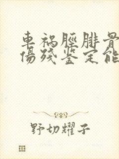 车祸胫腓骨骨折伤残鉴定能评几级残疾