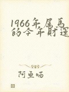 1966年属马的今年财运怎样