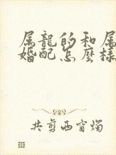 属龙的和属鼠的婚配怎么样