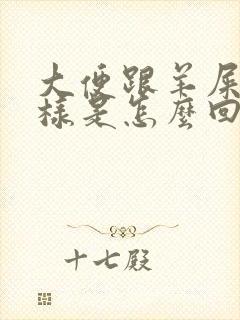 大便跟羊屎蛋一样是怎么回事封面