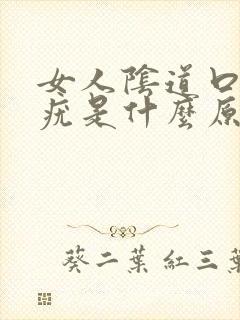 女人阴道口上长疣是什么原因