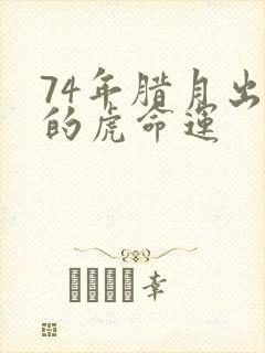 74年腊月出生的虎命运