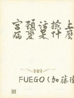 宫颈活检上皮内病变是什么意思