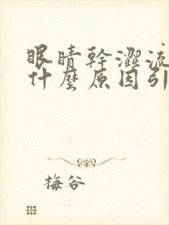 眼睛干涩流泪是什么原因引起的