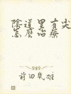 阴道里有尖疣湿怎么治疗
