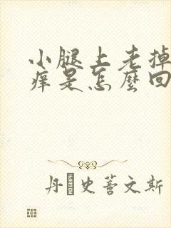 小腿上老掉屑还痒是怎么回事封面