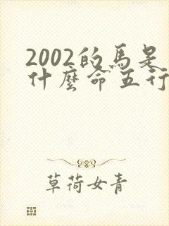 2002的马是什么命五行属什么