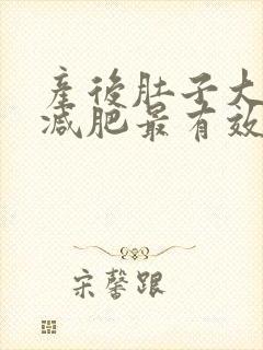 产后肚子大怎样减肥最有效封面