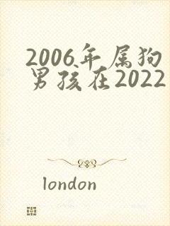 2006年属狗男孩在2022年学业运
