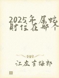 2025年属蛇财位在哪个方向