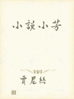 小说小芳封面