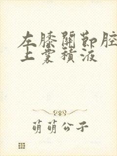 左膝关节腔及髌上囊积液