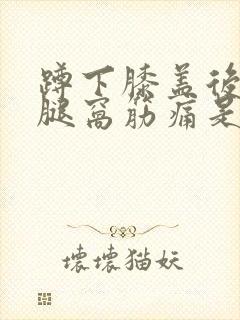 蹲下膝盖后面的腿窝筋痛是什么原因