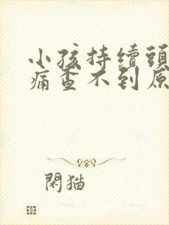 小孩持续头晕头痛查不到原因