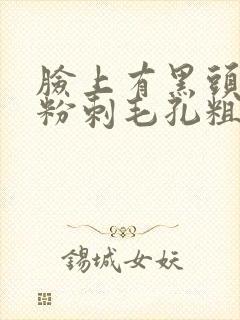 脸上有黑头痘痘粉刺毛孔粗大怎么办