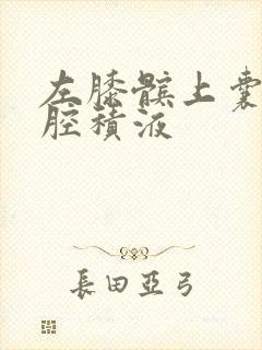 左膝髌上囊关节腔积液封面