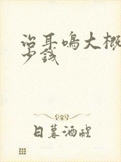 治耳鸣大概需多少钱