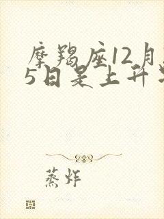 摩羯座12月25日是上升星座是什么封面