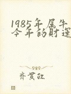 1985年属牛今年的财运