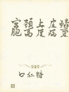 宫颈上皮鳞状细胞高度病变封面