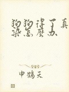 狗狗得了真菌感染怎么办