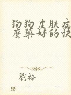 狗狗皮肤病用什么药好的快