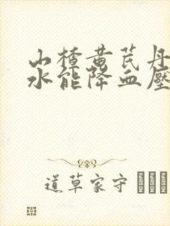 山楂黄芪丹参泡水能降血压吗