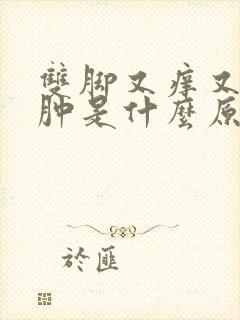 双脚又痒又红又肿是什么原因