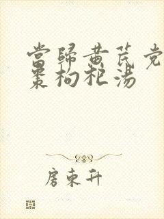 当归黄芪党参红枣枸杞汤