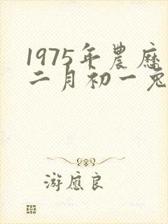 1975年农历二月初一兔的命运
