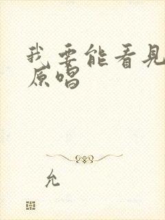 我要能看见歌曲原唱封面