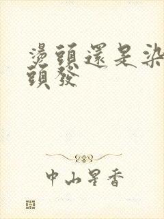 烫头还是染头伤头发封面