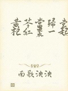 黄芩当归党参枸杞红枣一起煮水喝有什么好处