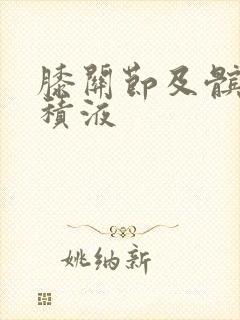 膝关节及髌上囊积液