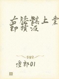 右膝髌上囊及关节积液