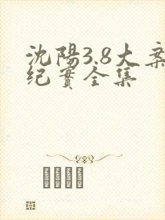 沈阳3.8大案纪实全集