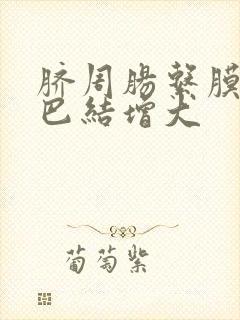 脐周肠系膜内淋巴结增大