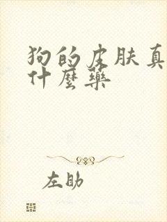 狗的皮肤真菌用什么药