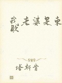 我老婆是东方不败封面
