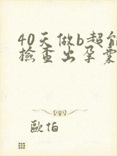 40天做b超能检查出孕囊封面