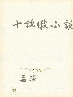 十锦缎小说