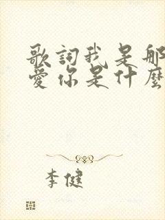 歌词我是那么的爱你是什么歌