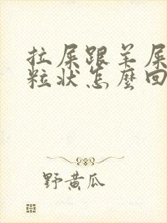 拉屎跟羊屎那种粒状怎么回事
