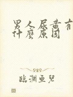 男人尿黄有沫是什么原因